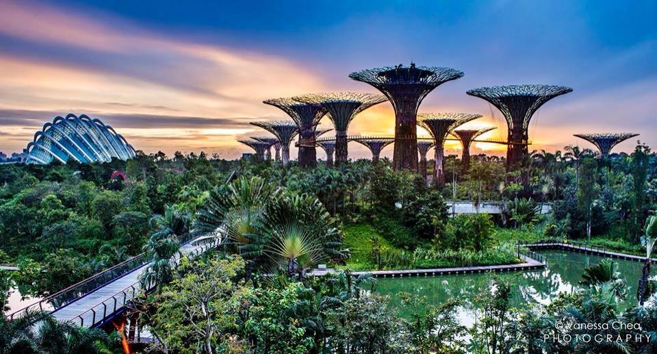 Gardens by the Bay