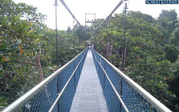 HSBC Treetop Walk @ MacRitchie Reservoir